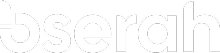 Bserah - Human Capital & AI Solutions for Organizations
